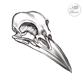 Быстрый скетч