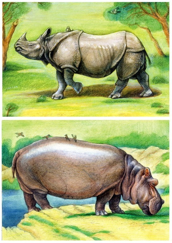 У нас, возможно, плохое зрение, но при наших габаритах это и проблема-то не наша.