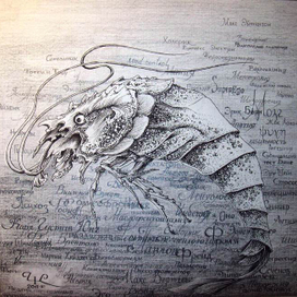 Креведко психоанализа