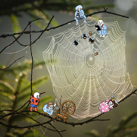 ВВедите название