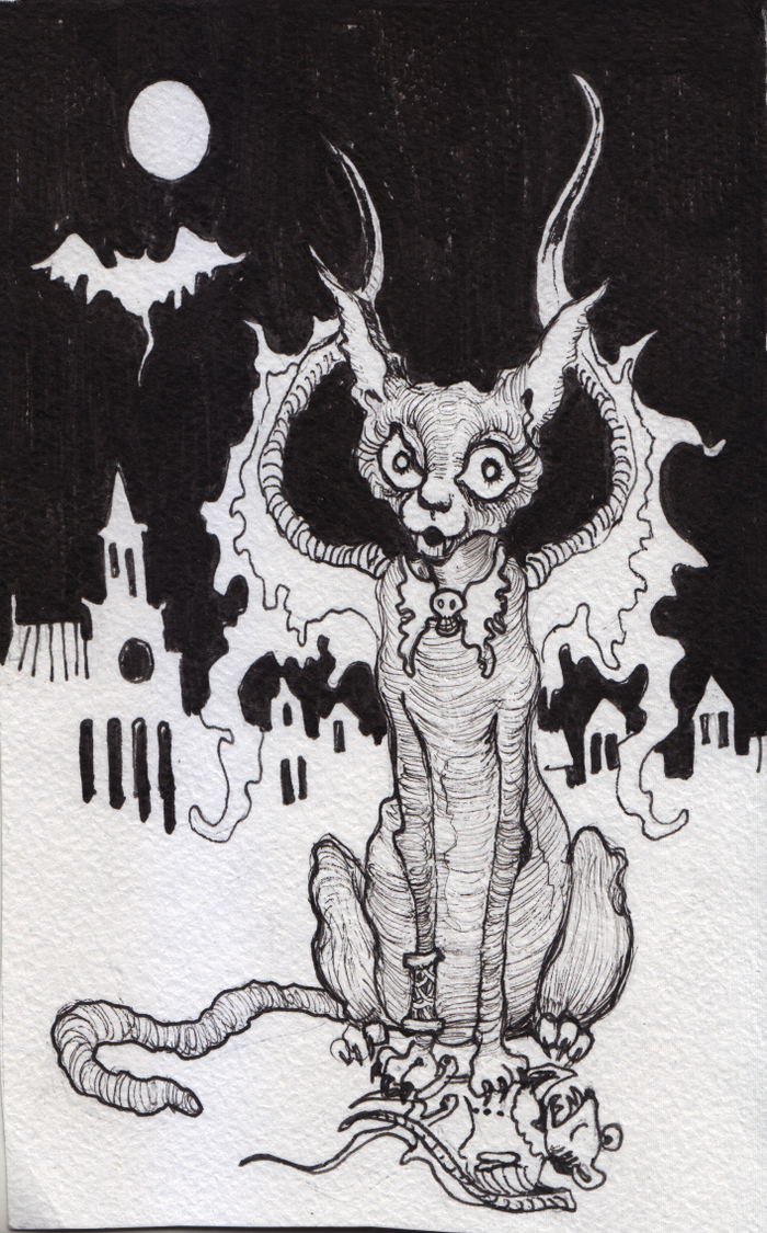 котохельсинг