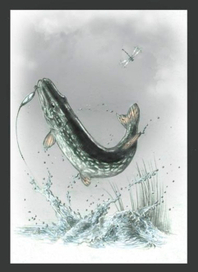 Поклевка после грозы