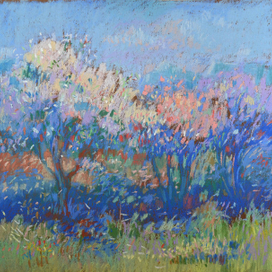 Куда приводят мечты!