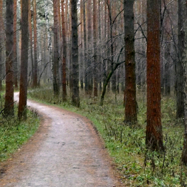 Краснолесье ....