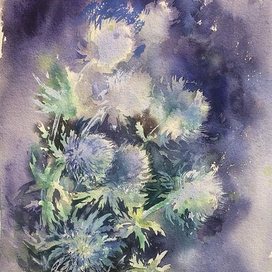 Синеголовник