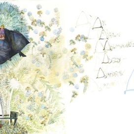 одуванчик - дзьмухавец