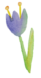 колокольчик