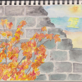 Лето-за-стеной