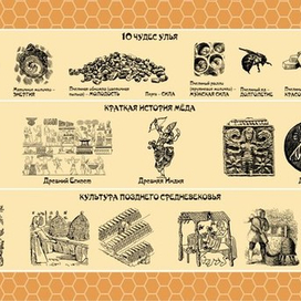 Баннер"10 чудес улья. Краткая история мёда"