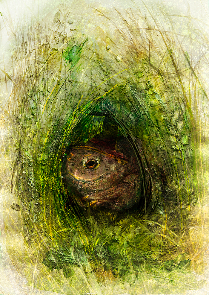 Брунхильда