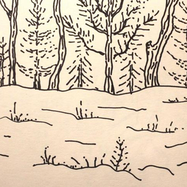 Вид из окна поезда. Фрагмент