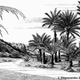 Колыбель пророков