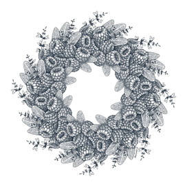 Малина и шалфей