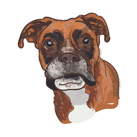 Бродячий пёс