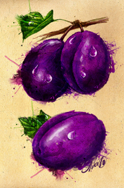 Plum