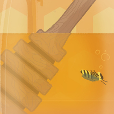 Мед и пчела