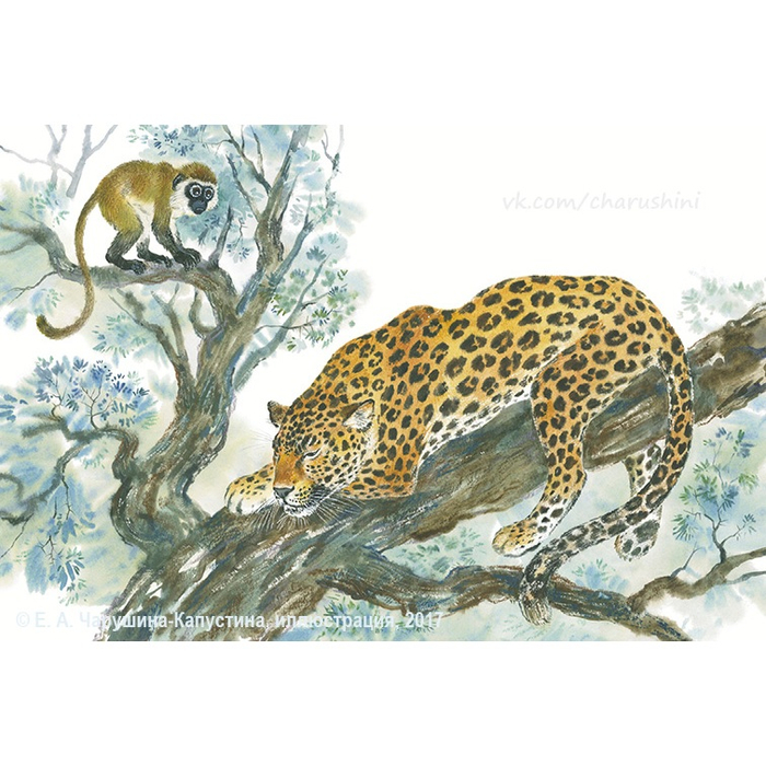 Разворот к моей дебютной книге "Мартышкины джунгли"