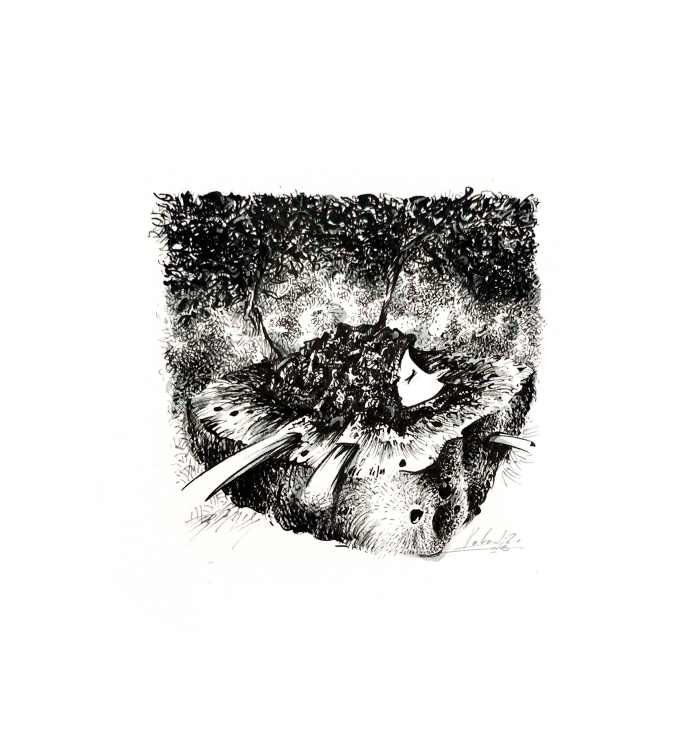 ...Плод Волшебного леса...