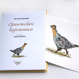 "Оранжевое Горлышко" В. Бианки