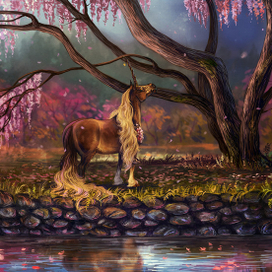 Старая вишня