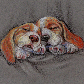 СЛАДКИЕ СНЫ