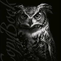 серия тетрадей