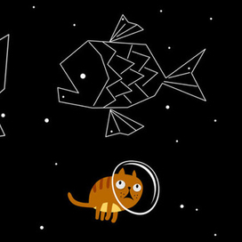 Звездный кот