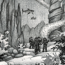 Прогулка по морскому дну