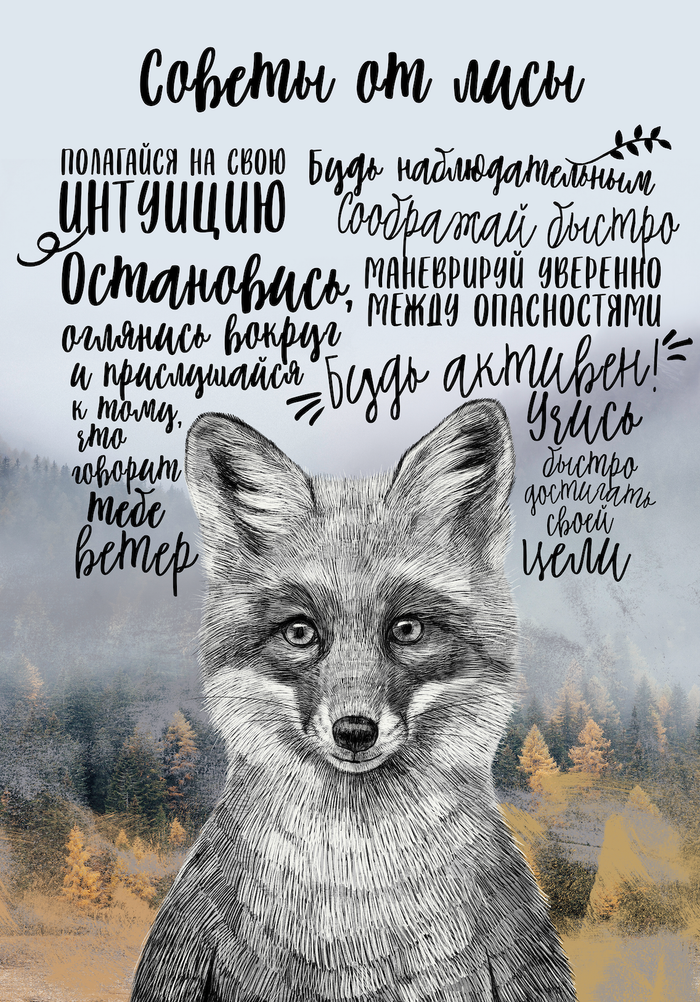 Советы от лисы