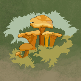 Серия "Северный лес"