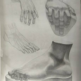 академический рисунок гипсовой стопы и кисти руки