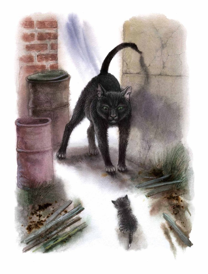 Маленькая аналостанка