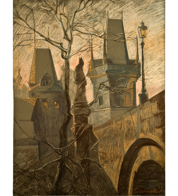 карлов мост