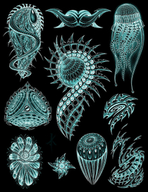 Новые формы жизни_2