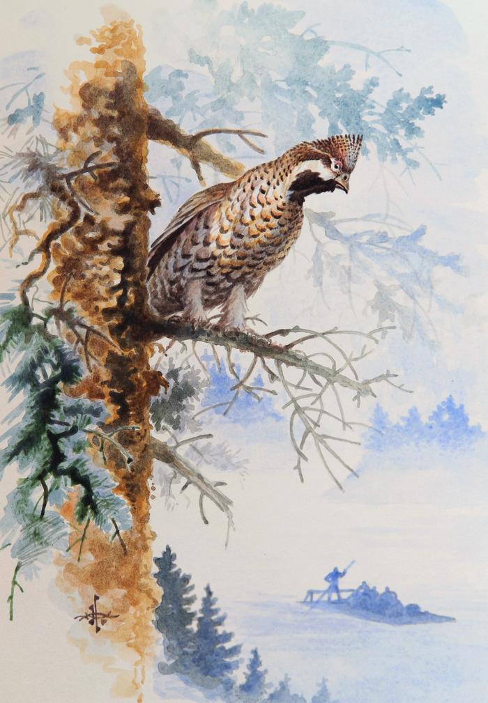 В таёжном краю...