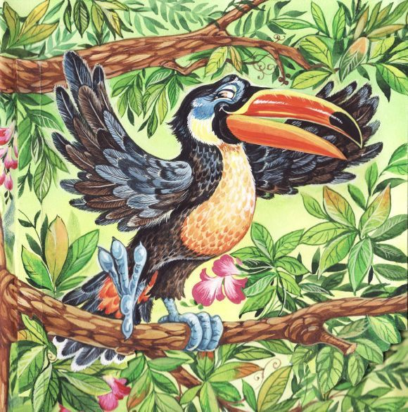 птица - носорог