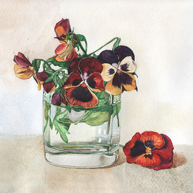 Анютины глазки