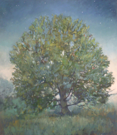 дерево в поле