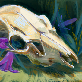 череп с цветами