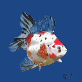 Золотая рыбка