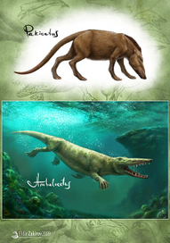 Китовы предки