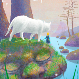 камни в воде