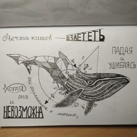 Киты тоже мечтают