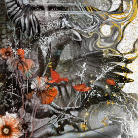 Глазами сокола