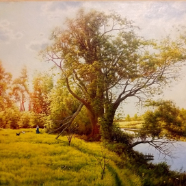 "Летнее солнце" город Шуя.