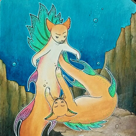 Морские котики