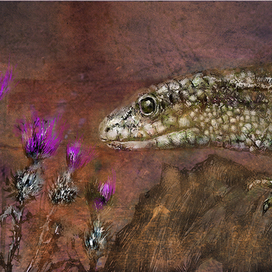 Чертополох