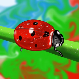 Божья коровка