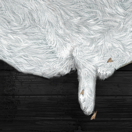 для титров фильма Наты Шленовой "Кролик, енот, лисичка."