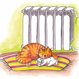 Кот и собака у батареи